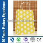 Color paper lunch bags