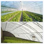 UV Stabilization Greenhouse Covering Film