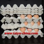 Taiyu-pulp and plastic egg tray for sale (have in stock)