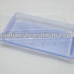 Light Blue Plastic Sushi Container