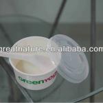 Disposable frozen yogurt cup with lid and spoon
