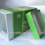 Paperboard Packaging Box Green 2003