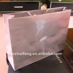 2012 eco-friendly shopping paper gift bag