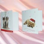 full color christmas card