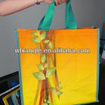 Custom reusable Printed Promotional PP Shopping bag 2013