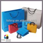 2013 Luxury Paper Bag with Custom Logo & Design FZ-B&L