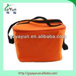 2013 new design cooler bag for forzen food YYClB-10