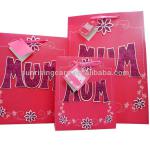 2013 newest product embellished with glitter gift bag