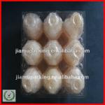 2013 PVC/PET chicken egg tray, clear plastic egg trays, quail eggs boxes,plastic disposable pet quail egg tray JMZ-clear plastic egg tray