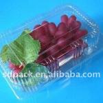 Agricultural Products High quality plastic Tomato Tray Fruit tray,Fruit container
