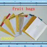 Apple Pear Peach Mango Protection Bags GSD