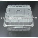 blister plastic fruit tray packaging manufacturer DC-0011