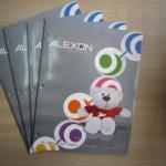 brochure brochure