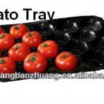 China Manufacturer PP Fruit Tray 39x59cm