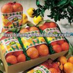 Citrus Orange Mesh Bag LPE13090603