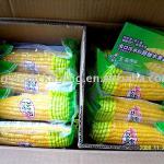 Corn Vaccum bag XY