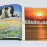 customized printing restaurant menu customized
