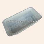 Disposable food packaging 2513