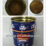 Durable metal bucket with lid WHM20-1