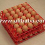 Egg trays