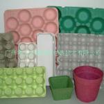 Egg Trays