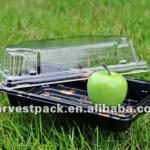 fabulous popular disposable plastic sushi tray HP-03