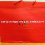 Fashionable and good craft manship cute paper bags Bag012