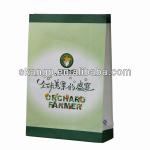 Food Grade Paper Bag For Packing SK-PB-130619-08