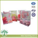 fruit clear pp 0.15mm bag,food packaging plastic bag,customized plastic carry bag XS-1209