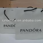 jewelry paper bags,luxury jewelry paper bag,gift jewelry bags CF-PA01