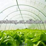 LDPE high quality greenhouse film 5mx9m