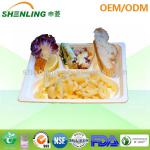 molded sugarcane pulp SL-T027