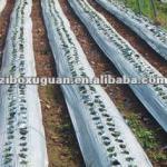 mulching film for Vegetable xg3203