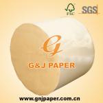 News Paper Rolls GJNP028