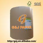 Newsprint paper roll GJNP037