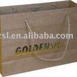 PBGSL803 paper bag