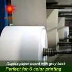 pe coated white duplex board with white/grey back KW003