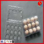 plastic egg packagig tray in PET film PFPET-130119