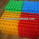 plastic egg tray hex30