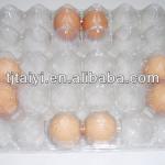 plastic egg tray