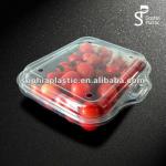 plastic fruit container SP-SF-099