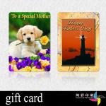 plastic gift cards XC-V78