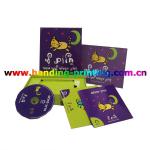 supply printed paper cd sleeve HD-CD003