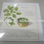 wedding invitation card 2013 XD