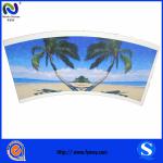 wholesale pe coated paper cup fan with different size paper fan