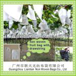 XT1044 non woven fruit cover bag grape protection bag with drawstring XT1044