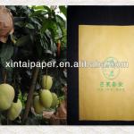 Mango fruit bag
