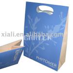 2012 fashion glossy paper bag shopping bag