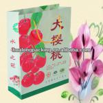 Eco-friendly promotion fruit tote paper bag