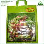 Plastic Bags For Fruit